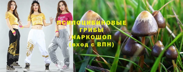 МДПВ Коряжма
