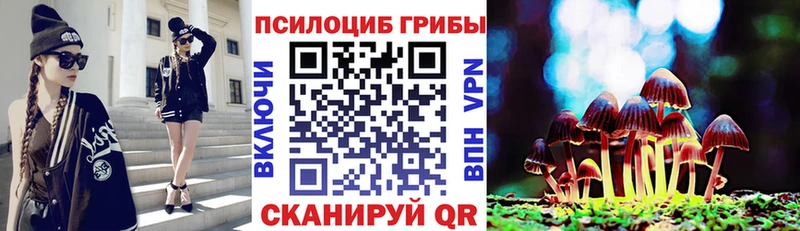 Псилоцибиновые грибы Cubensis Пролетарск