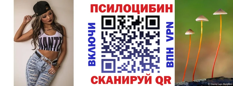Купить закладки  Пролетарск  Псилоцибиновые грибы мухоморы 